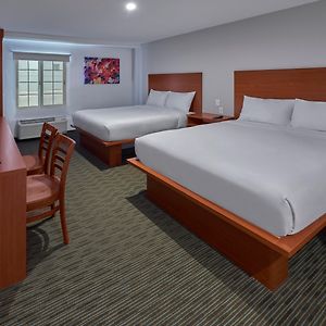 Suite con Cama Queen